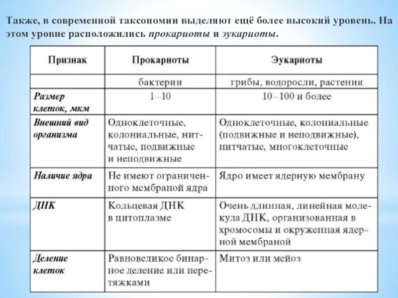 Чем отличаются прокариоты от эукариотов
