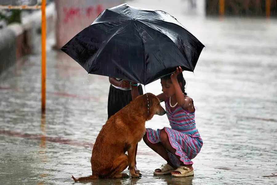 Человек делает добро. Делай добро. Сделай добрым человеком. Сделай добрым человеком. Сделай добрым человеком.
