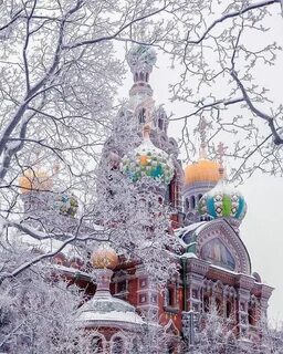 Спас зима
