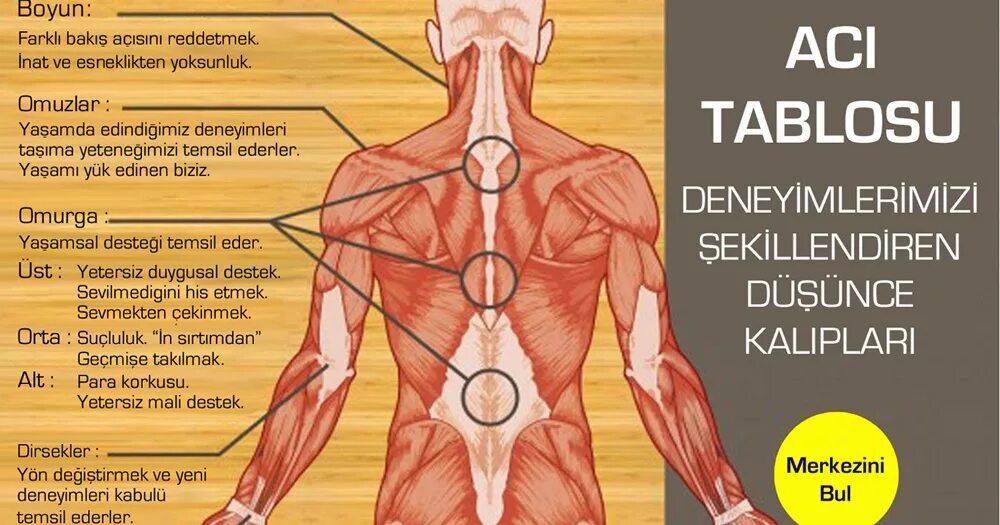 See how it feels. On emotions. Emotion body. Negative emotions. Emotions in our body.