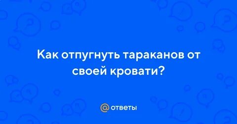 Почему тараканы лезут в постель