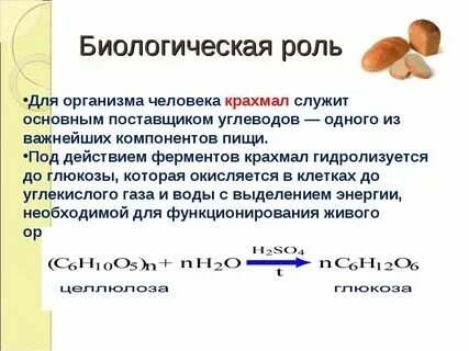 Биологическая роль крахмала