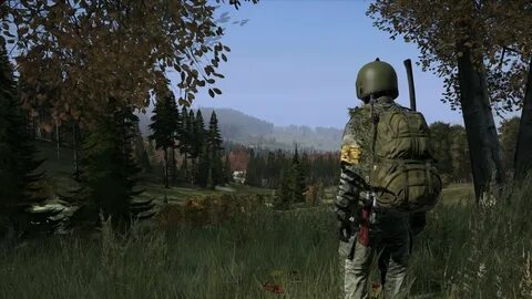Dm dayz