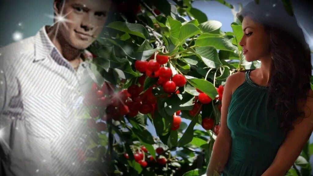 Влюбленные в весеннем саду. Ты скажи мне вишня мартынов. Песня вишня вишня почему любовь. Ты скажи скажи мне вишня почему любовь не вышла. Маленькие вишни.