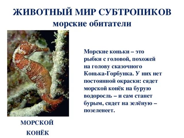 Мой родной край-Крым