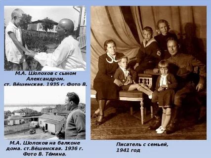 Семья м шолохова
