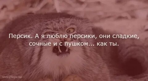 Твой персик