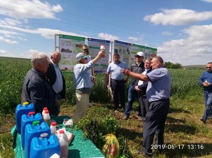 Погода лениногорске 2024