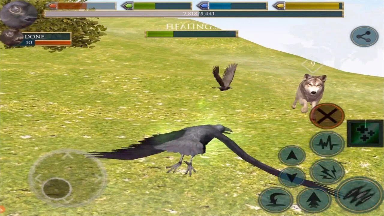 Роблокс cabin crew simulator boeing b737. Ворона арт. Симулятор вороны. Ворон. Crow simulator.