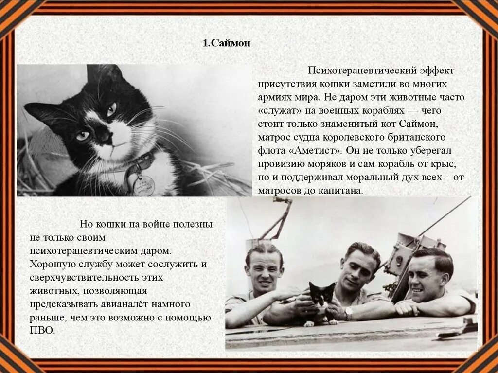 Кот герой произведений. Собаки герои Великой Отечественной войны 1941-1945. Животные герои ВОВ. Коты герои Великой Отечественной войны 1941-1945. Подвиги животных на войне.