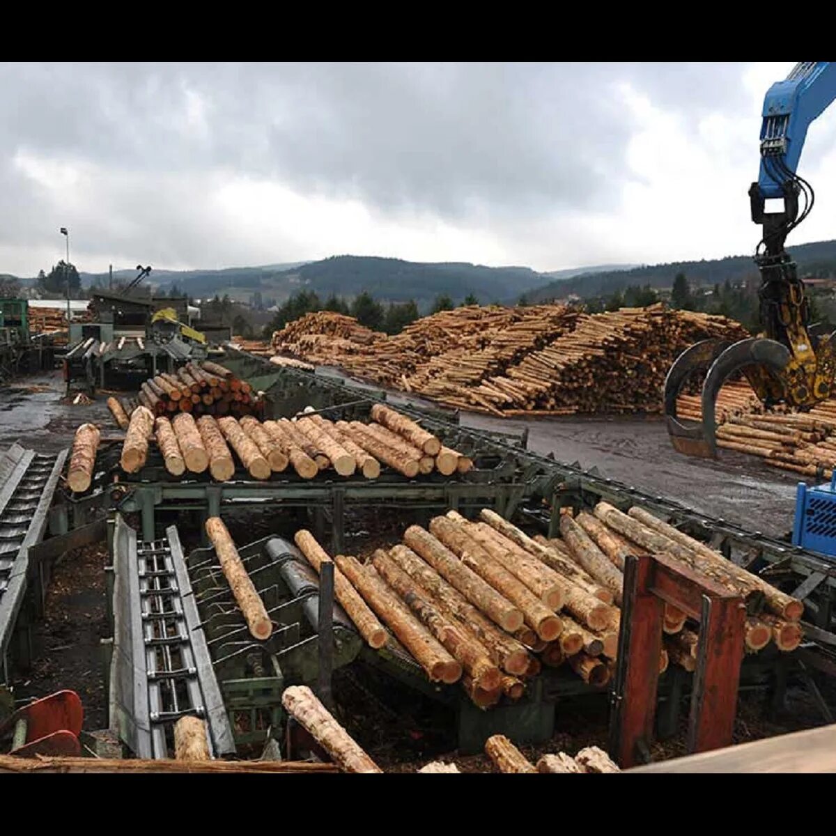 жарковский деревообрабатывающий комбинат. фото с пиломатериалами и человеком. кособродский деревообрабатывающий завод. лесопромышленный комплекс архангельск. предприятие по заготовке пиломатериалов.