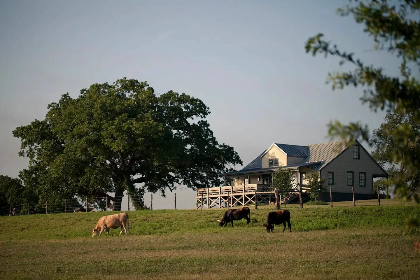 Ранчо ферма США. Техас США ранчо. Техас скотоводческое ранчо. Американская ферма штат Канзас.