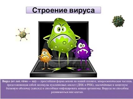 Жизнь вируса в организме