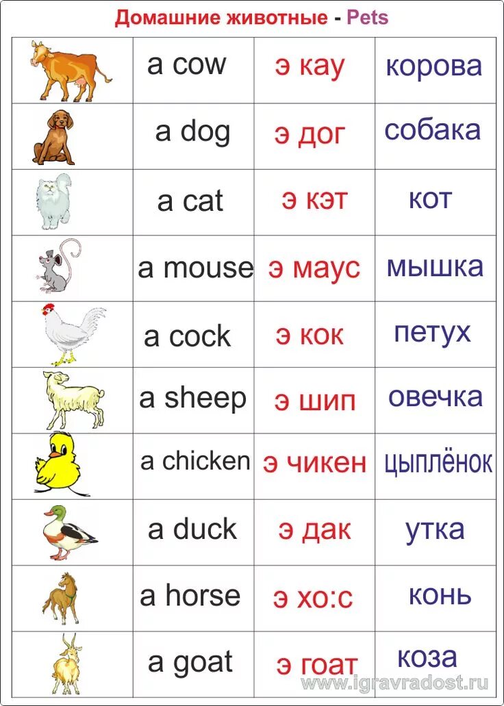 Правильное произношение на английском фото переводчик Картинки КАК ПРОИЗНОСИТСЯ DOING