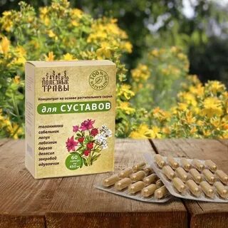 Какая трава помогает от суставов