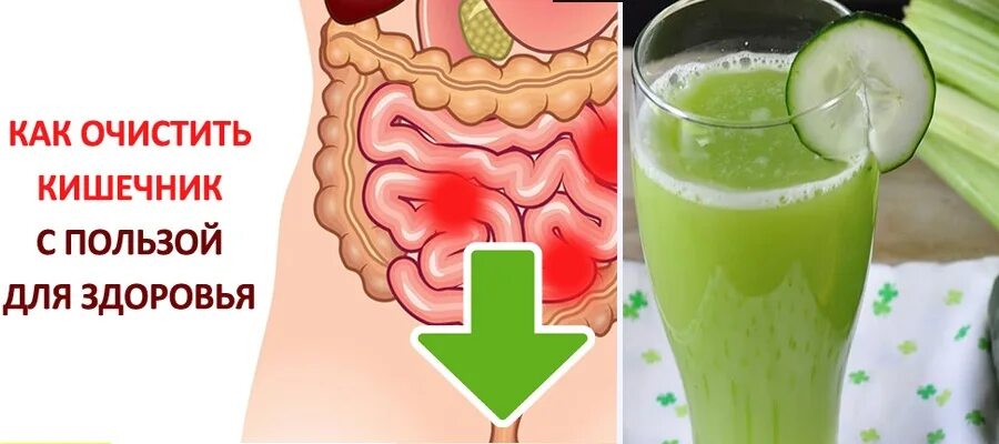 Система очищения кишечника. Очищение организма от токсинов. Очищение кишечника от шлаков и токсинов.