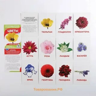 Карточки самая