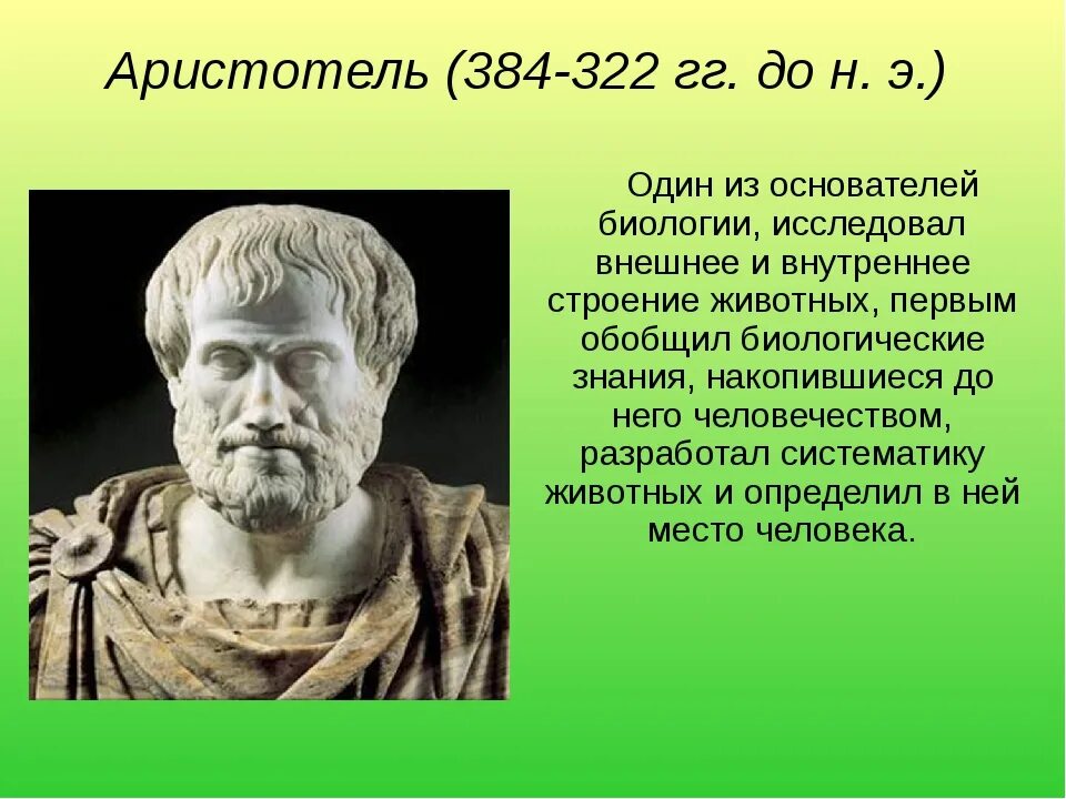 Ученые естествоиспытатели Аристотель. Аристотель (384–322 до н. э.) — древнегреческий философ.. Аристотель 5 класс. Аристотель биология 5 класс.