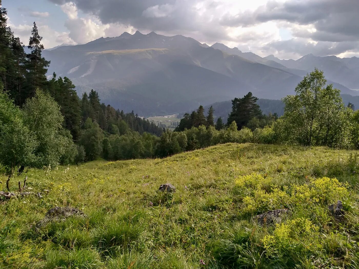 Луга дагестана альпийские дагестана. Субальпийские луга. Субальпийские луга северного кавказа. Субальпийские луга. Альпийские луга чечня.