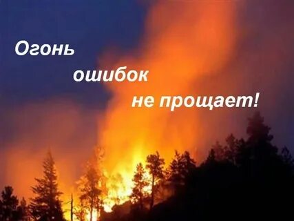 Почему говорят что природа не прощает ошибок