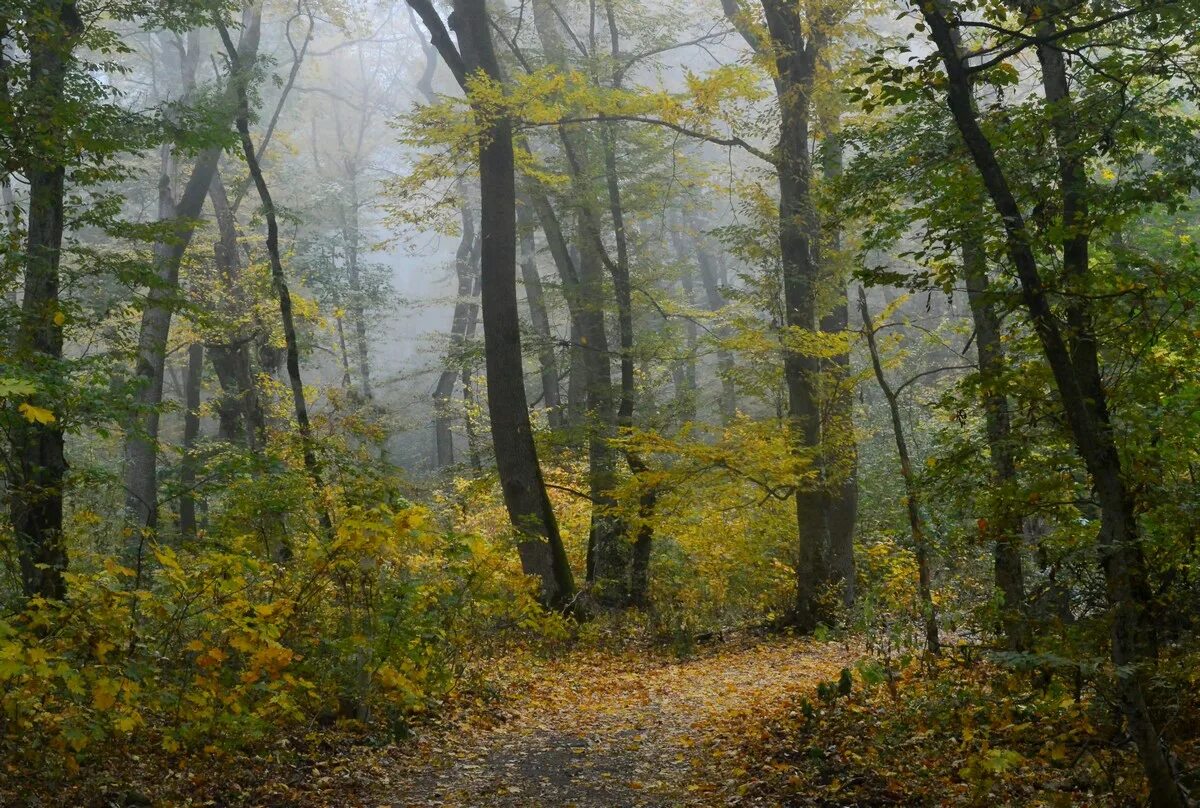 Терренкур Железноводск. Пейзажи Железноводска. Терренкур осень. Пейзажи Железноводска фото. Железноводск октябрь