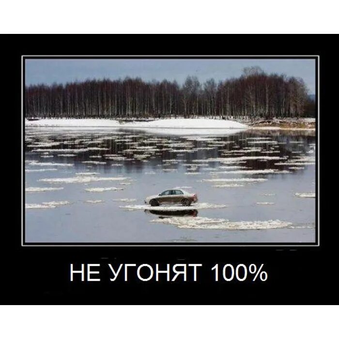 Дурак по сети с другом. Пусть мама услышит пусть мама придет. Пусть мамонт услышит пусть мамонт придет. Приколы про весну.