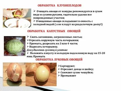 Обработка корнеплодов
