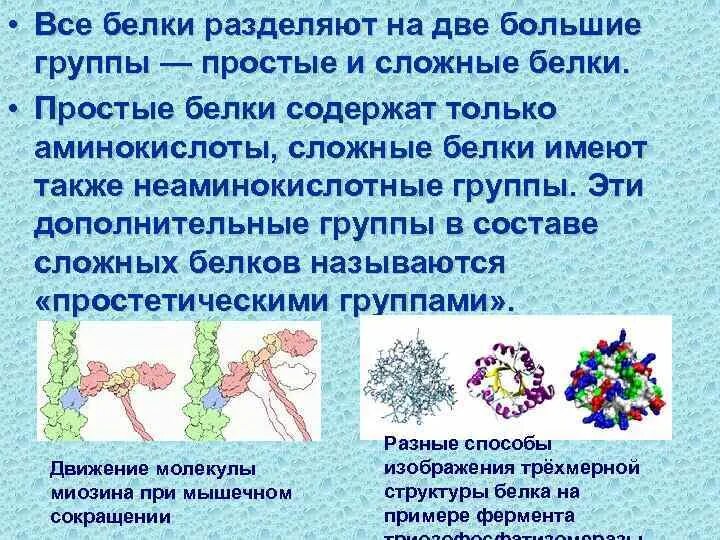 Изоэлектрическое фокусирование белков. Принцип метода гель-фильтрации белков. Классификация белков простые и сложные белки. Схема сегрегации белков на эпс. Классификация белков сложные белки.