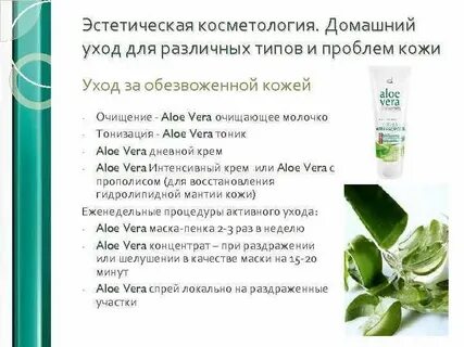 Чем полезен алоэ для кожи