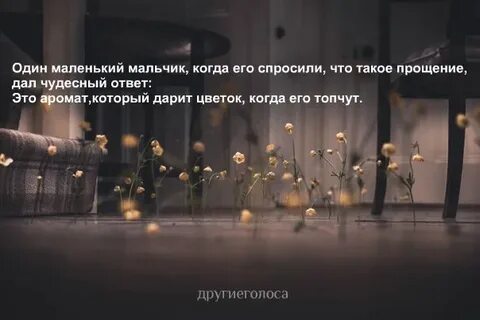 Простите это дали