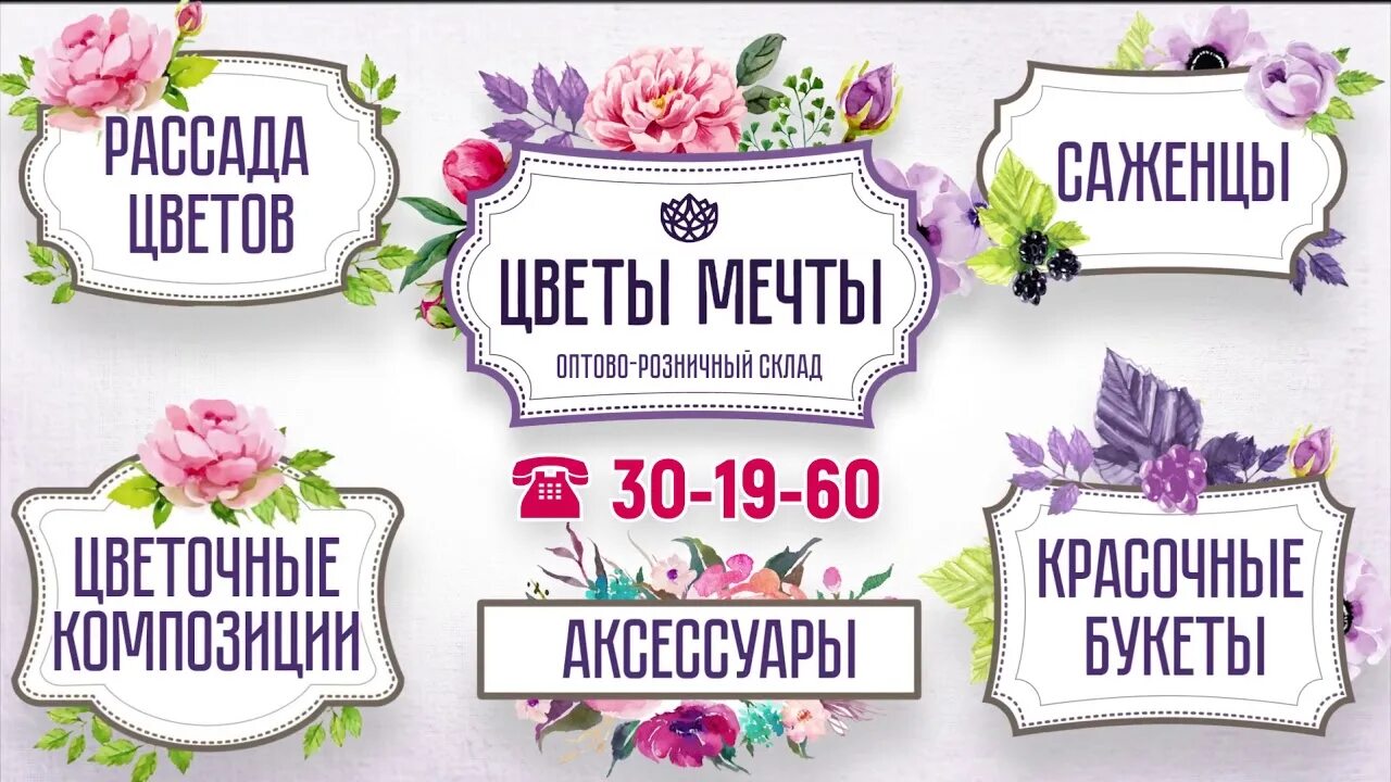 Цветы мечты Брянск. Цветы мечты. Цветущие мечты. Мечтай Цвети.