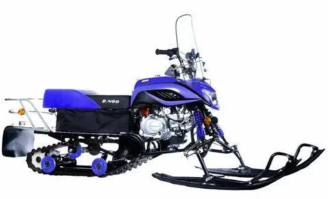 Dingo t125