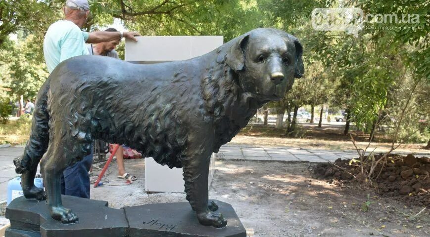 Какой собаке поставили памятник. Памятник собаке лайке в москве. Какой собаке поставили памятник. Какой собаке поставили памятник. Памятник собакам-истребителям танков.