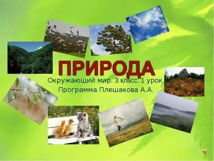 Урок по теме природа 3 класс