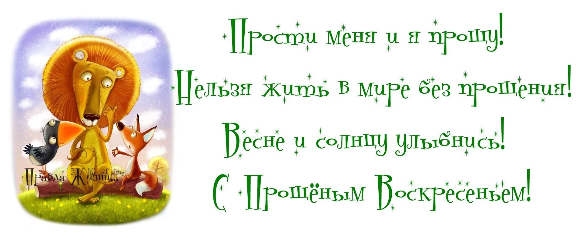 Прощение проси если сильно напугали вас