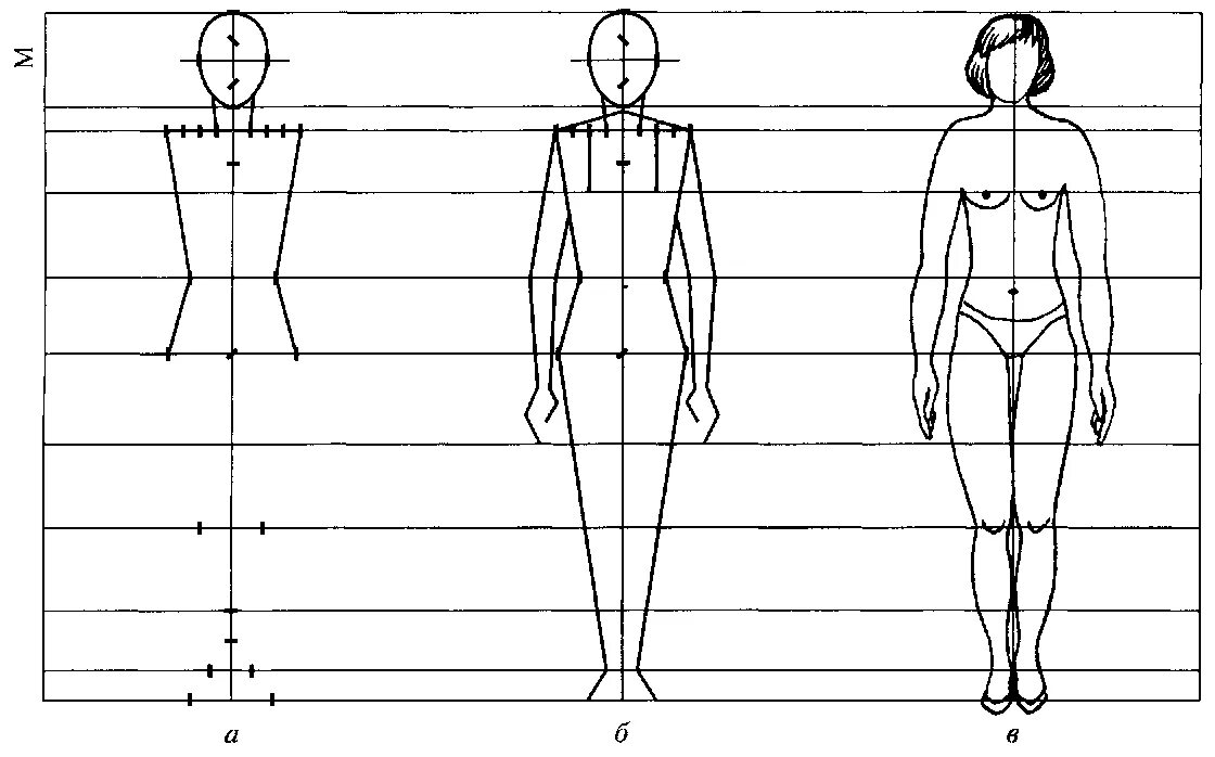 Люди изо. Схема построения человека пропорции. Изображение фигуры человека. Схема рисования фигуры человека. Фигура человека рисунок.
