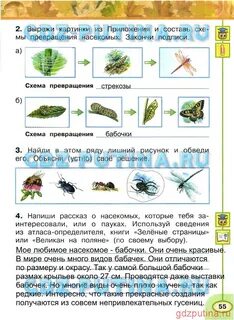 Окружающий мир 2 класс рабочая тетрадь 55