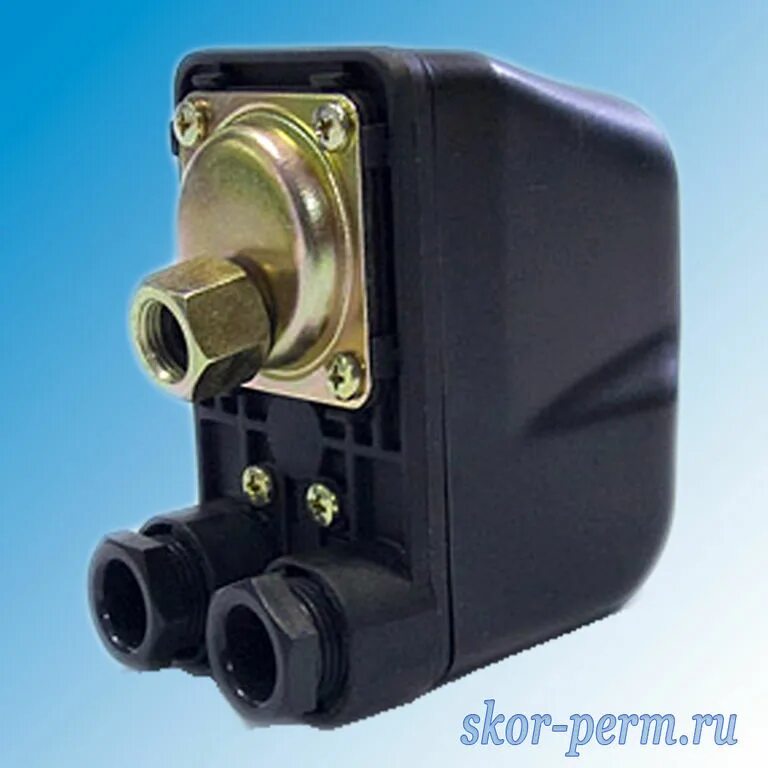Реле давления РД-2Р-0,6МПа,диапазон 0,07 - 0,6МПа, резьба G1/4",t изм.среды -10  - Товар на картинке можно купить.