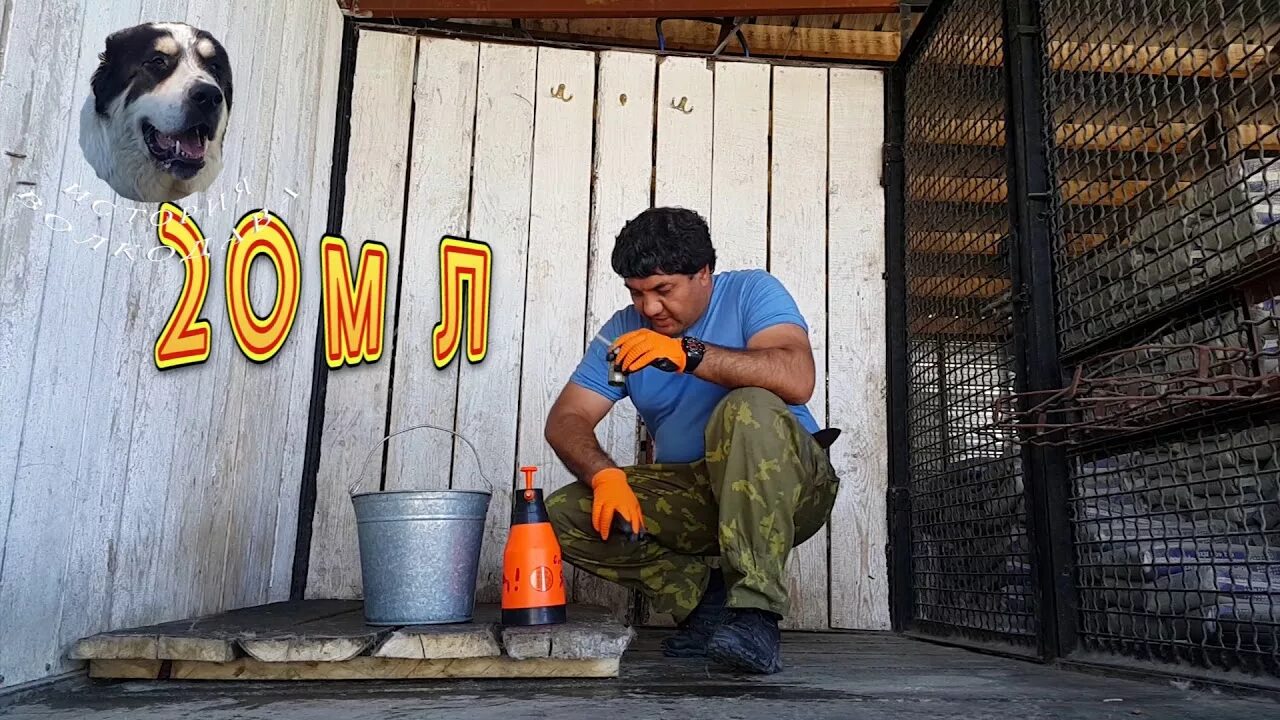 Средства для дезинфекции вольеров для собак. Уборка вольера для собаки. Уборка в вольере собаки. Дезинфекция вольеров. Инвентарь для уборки вольеров собак.