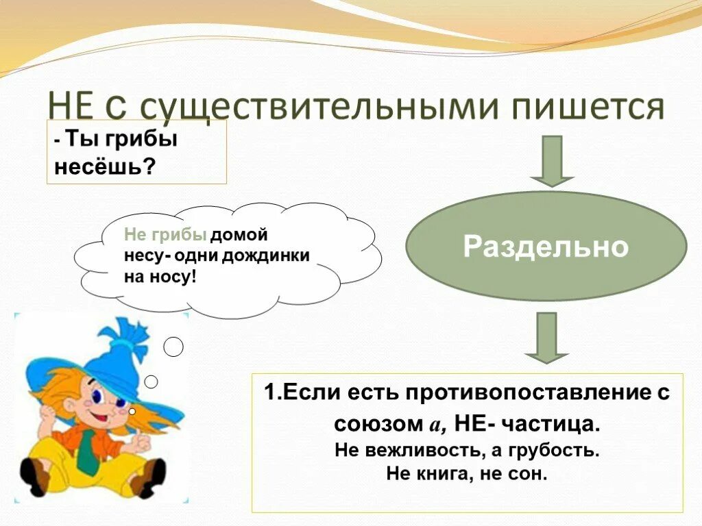 Не с существительными. Не с существительными схема. Не с именами существите. Не с именами существительными 5 класс. Не с прилагательными правило 5 класс