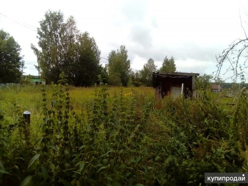 Торгашино красноярск. Красноярск поселок торгашино. Погода в торгашино. Торгашино сергиево-посадский. Погода в торгашино.