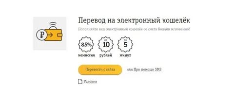 Сбилась с счета