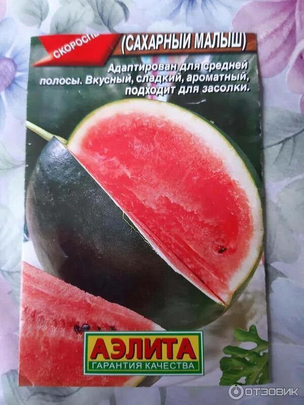 Арбуз янтарный f1. Сахарный арбуз. Сахарный малыш. Арбуз сахарный мальчик. Архангельские арбузы.