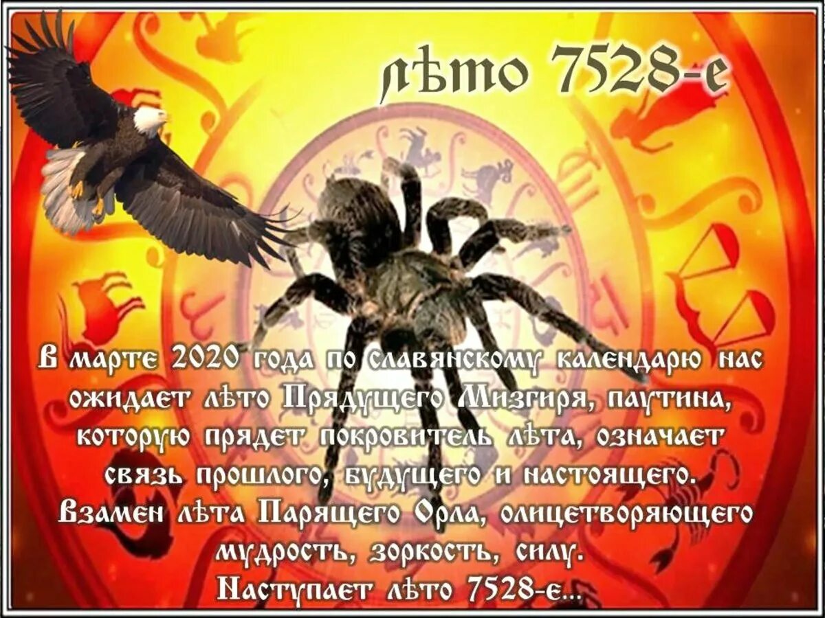 Характеристика 2025 года по славянскому календарю. Прядущий мизгирь 2025. прядущий мизгирь тотем. тотем 2025 года по славянскому. славянский тотемный годослов паук.