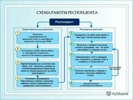 Сроки сбора статистической отчетности
