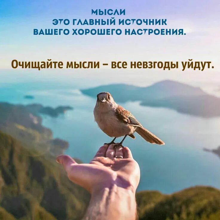 Мысли о добром утре. Добрые мысли. Благословенной недели. Думаем только о хорошем добром и позитивном. Хорошие мысли картинки.