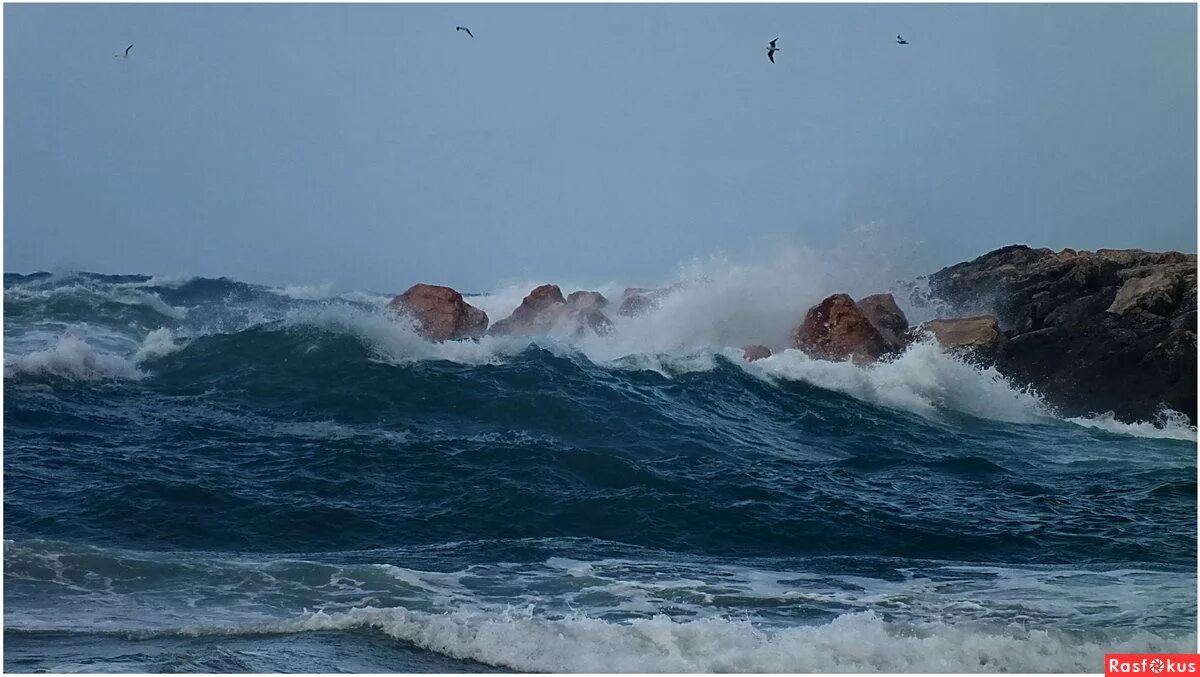 Волнение море в морском. Взволнованное море. Волнение на море. Море волнуется. Слабое волнение моря