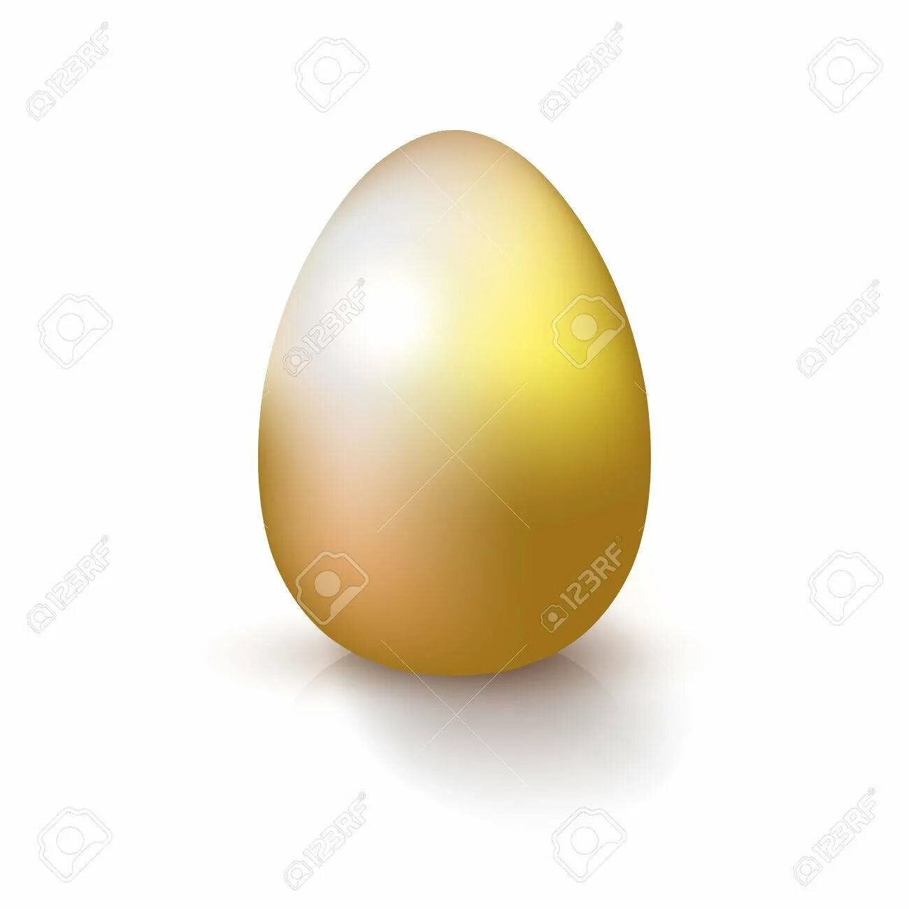 Next egg