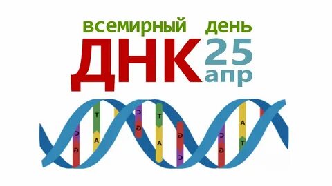 Дне днк