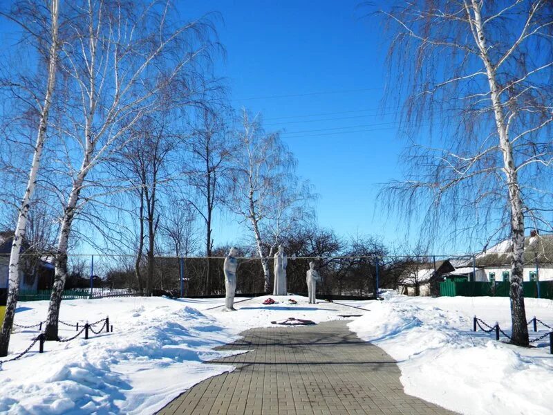 Село грушевка. Грушевка белгородская область. Белгородская обл село гущёвка. Грушевка белгородская область. Грушевка белгородская область.